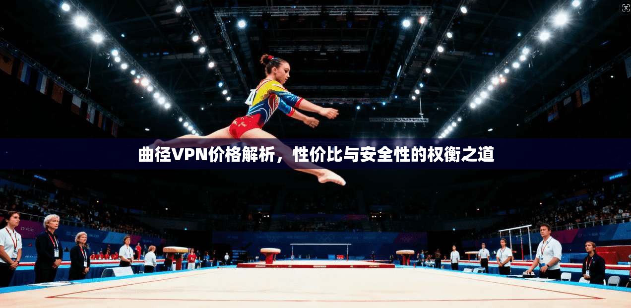 曲径VPN价格解析，性价比与安全性的权衡之道