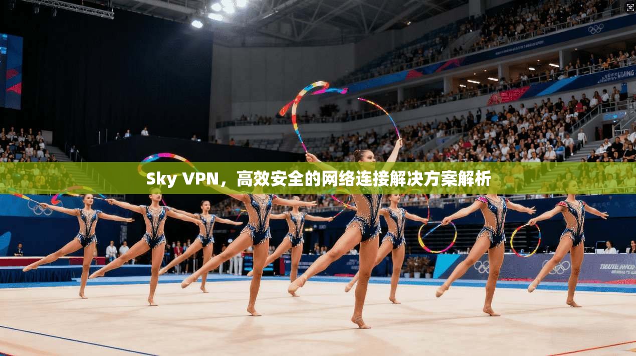 Sky VPN，高效安全的网络连接解决方案解析