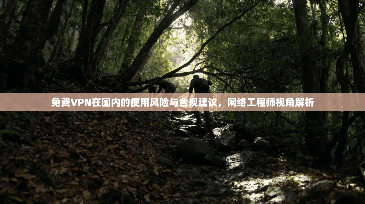免费VPN在国内的使用风险与合规建议，网络工程师视角解析