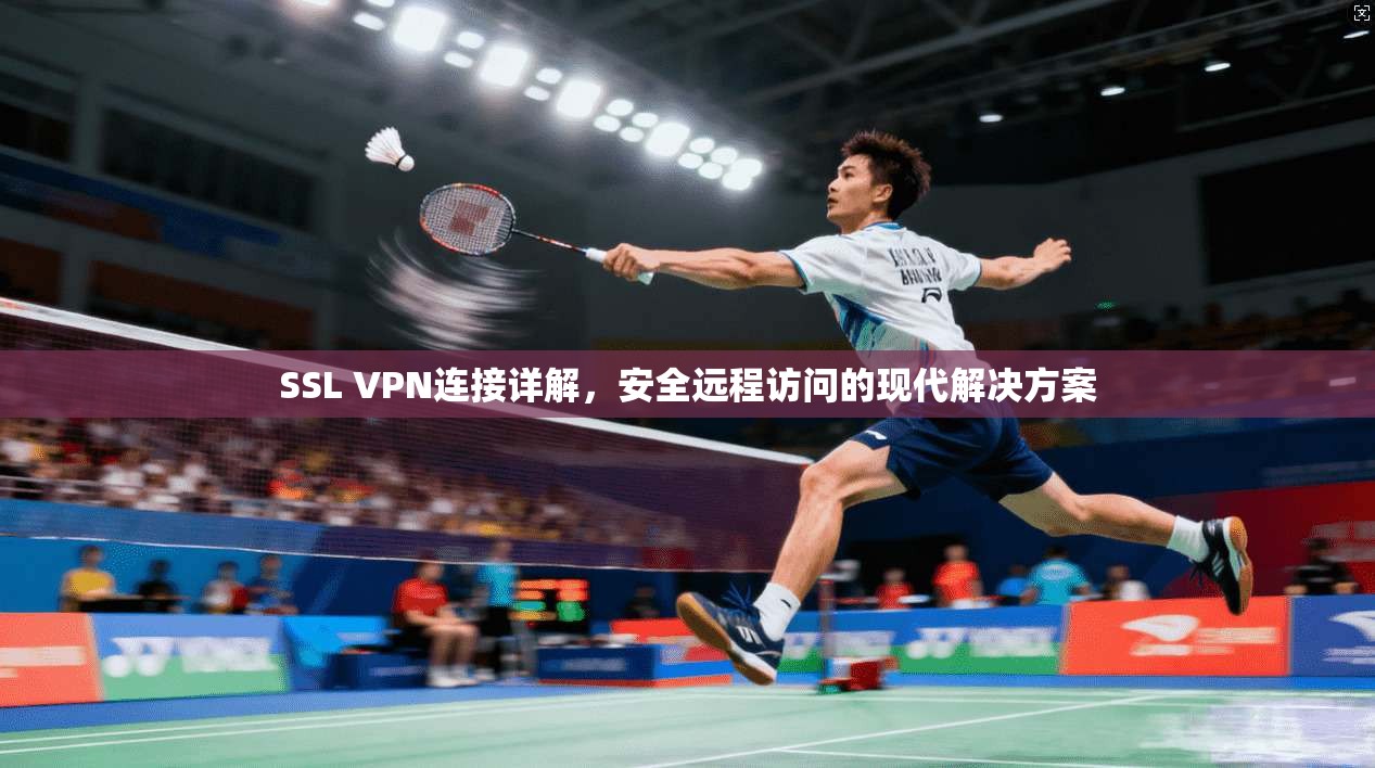 SSL VPN连接详解，安全远程访问的现代解决方案