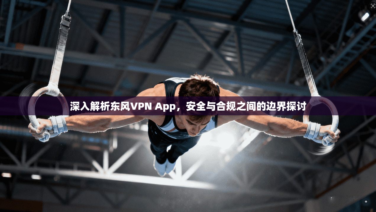 深入解析东风VPN App，安全与合规之间的边界探讨