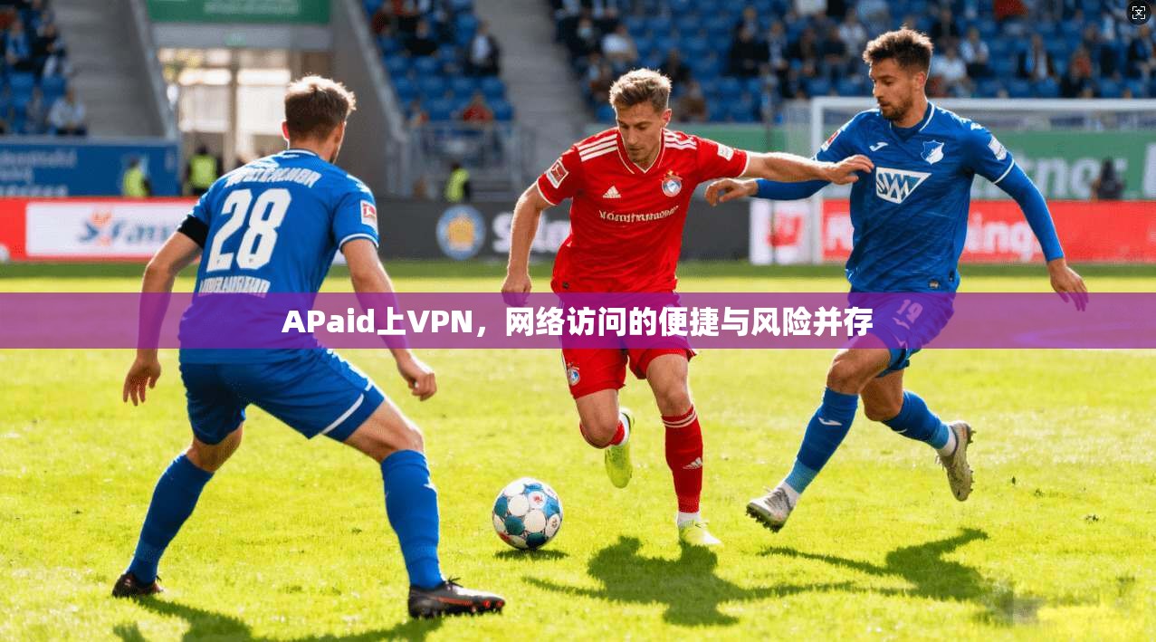 APaid上VPN，网络访问的便捷与风险并存