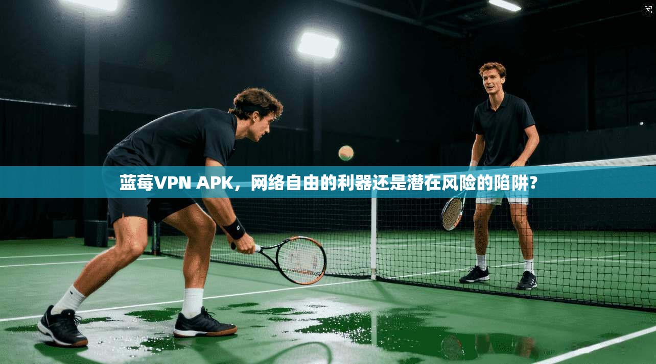 蓝莓VPN APK，网络自由的利器还是潜在风险的陷阱？