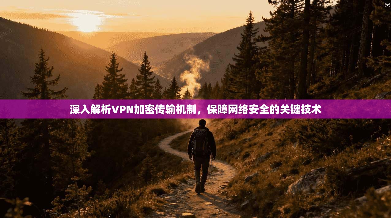 深入解析VPN加密传输机制，保障网络安全的关键技术