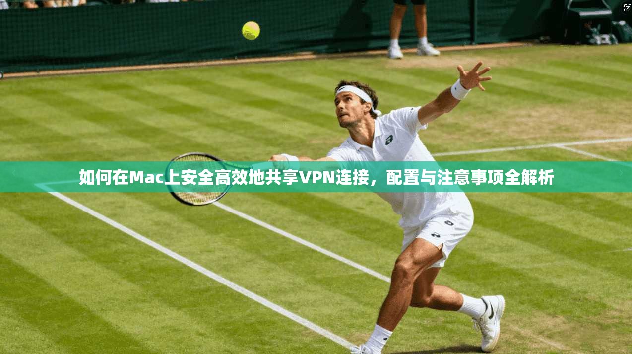 如何在Mac上安全高效地共享VPN连接，配置与注意事项全解析