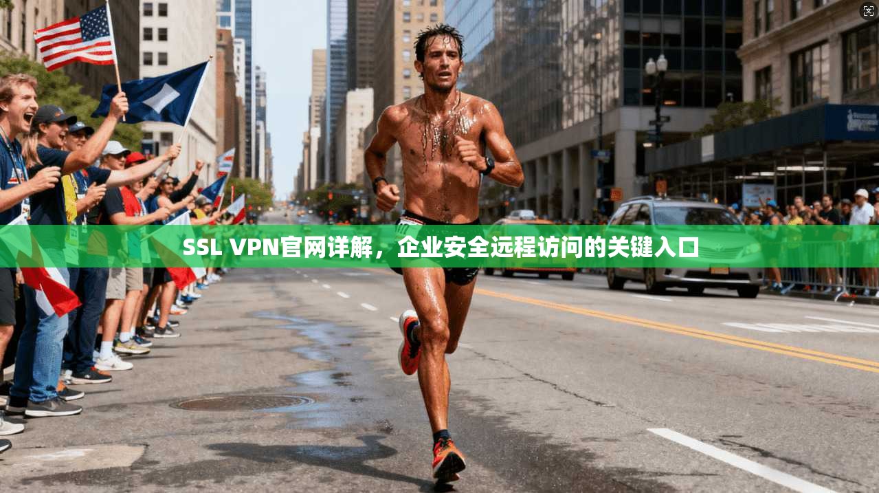 SSL VPN官网详解，企业安全远程访问的关键入口