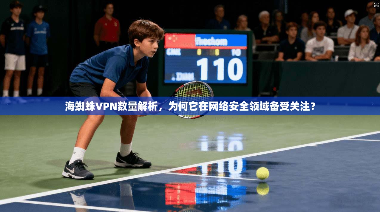 海蜘蛛VPN数量解析，为何它在网络安全领域备受关注？