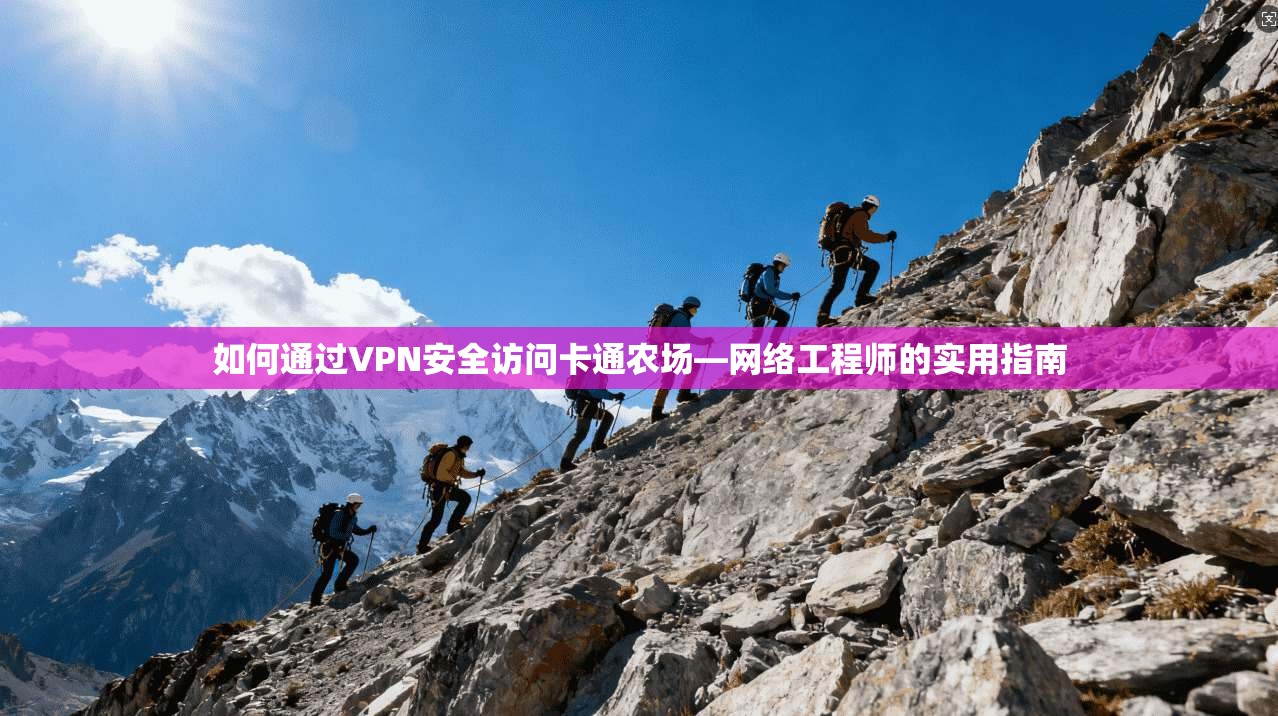 如何通过VPN安全访问卡通农场—网络工程师的实用指南