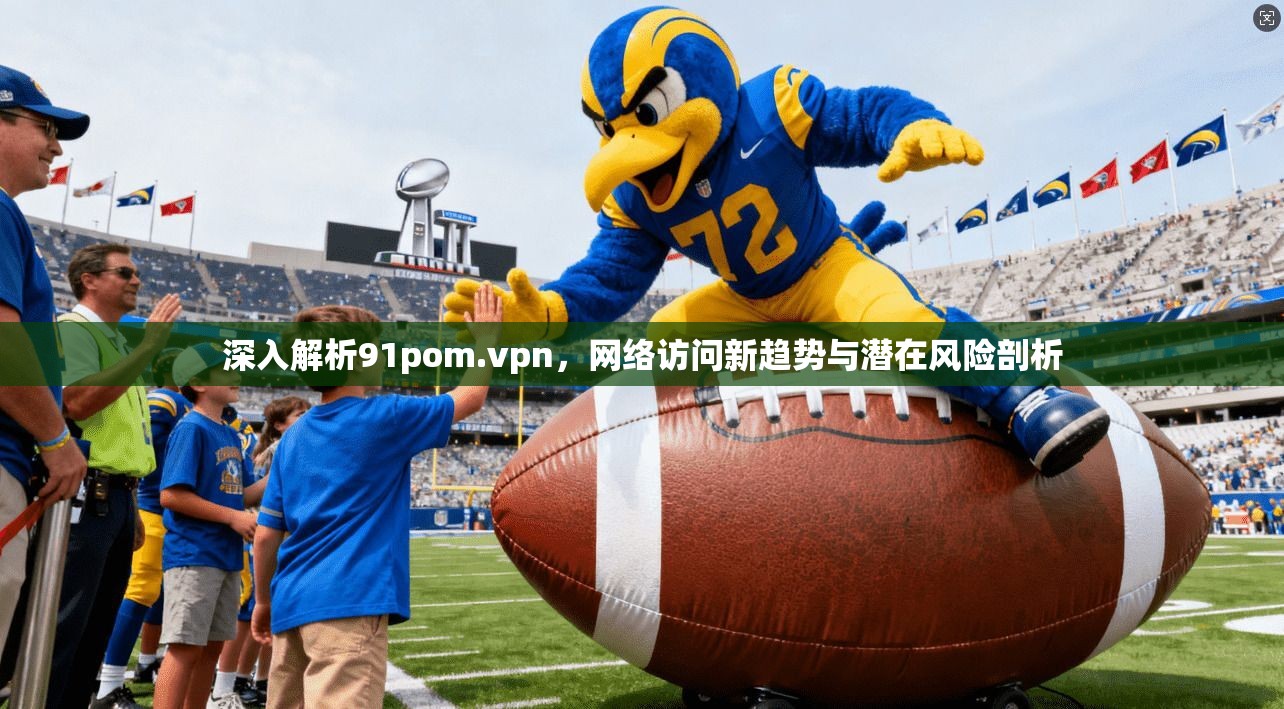 深入解析91pom.vpn，网络访问新趋势与潜在风险剖析