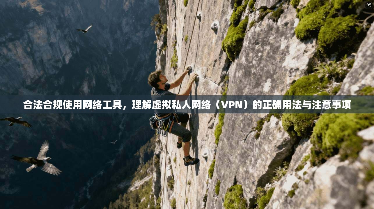合法合规使用网络工具，理解虚拟私人网络（VPN）的正确用法与注意事项