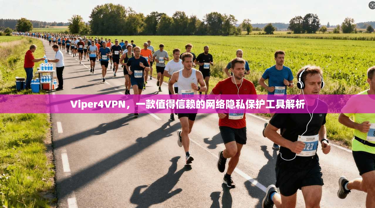 Viper4VPN，一款值得信赖的网络隐私保护工具解析