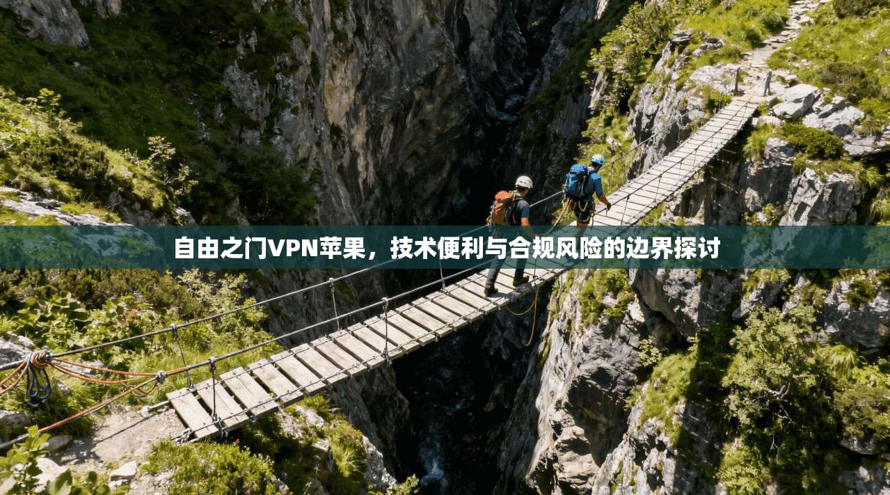 自由之门VPN苹果，技术便利与合规风险的边界探讨
