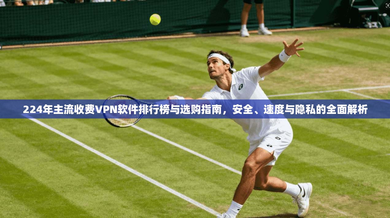 224年主流收费VPN软件排行榜与选购指南，安全、速度与隐私的全面解析