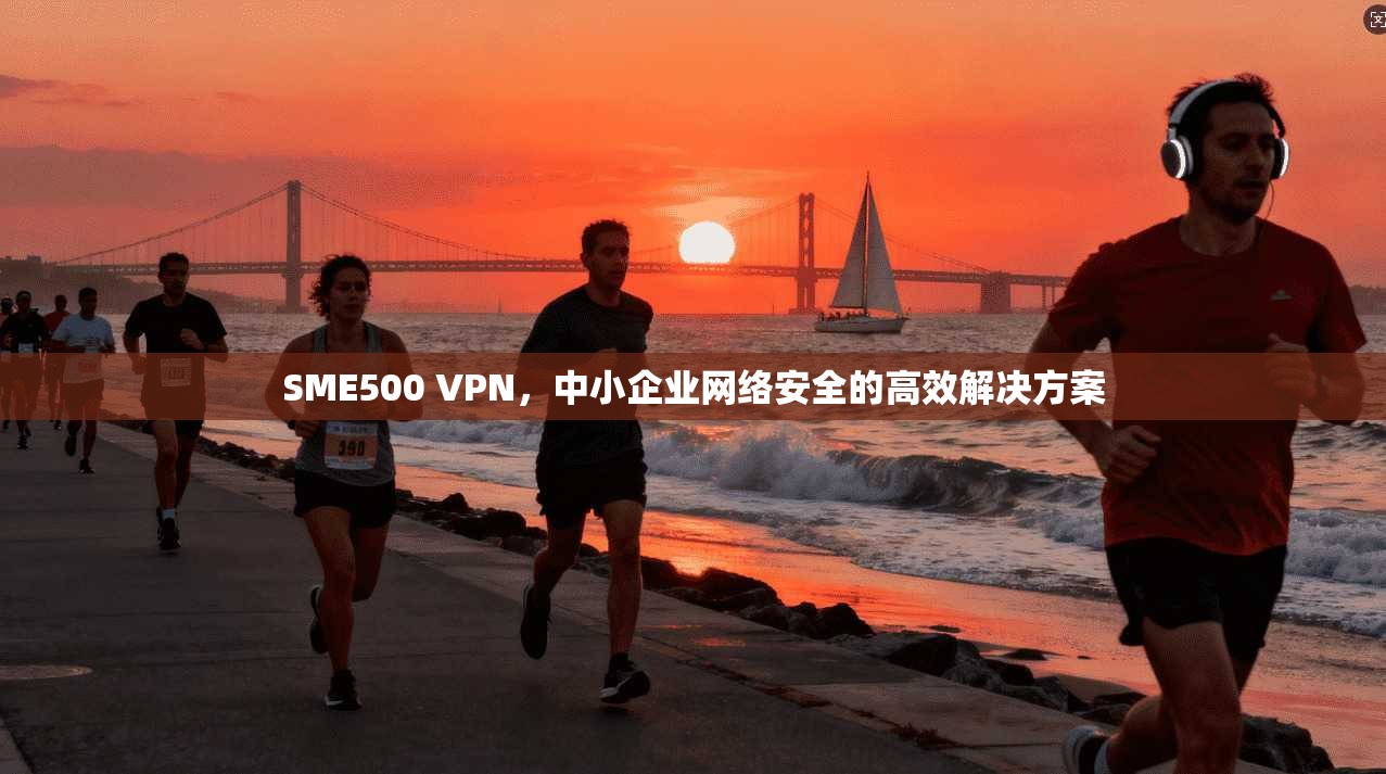 SME500 VPN，中小企业网络安全的高效解决方案