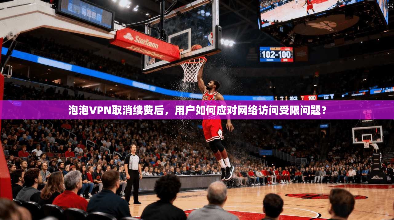 泡泡VPN取消续费后，用户如何应对网络访问受限问题？
