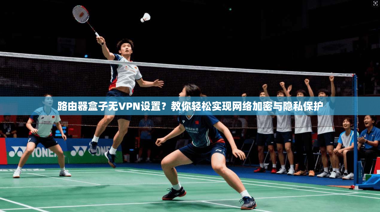 路由器盒子无VPN设置？教你轻松实现网络加密与隐私保护