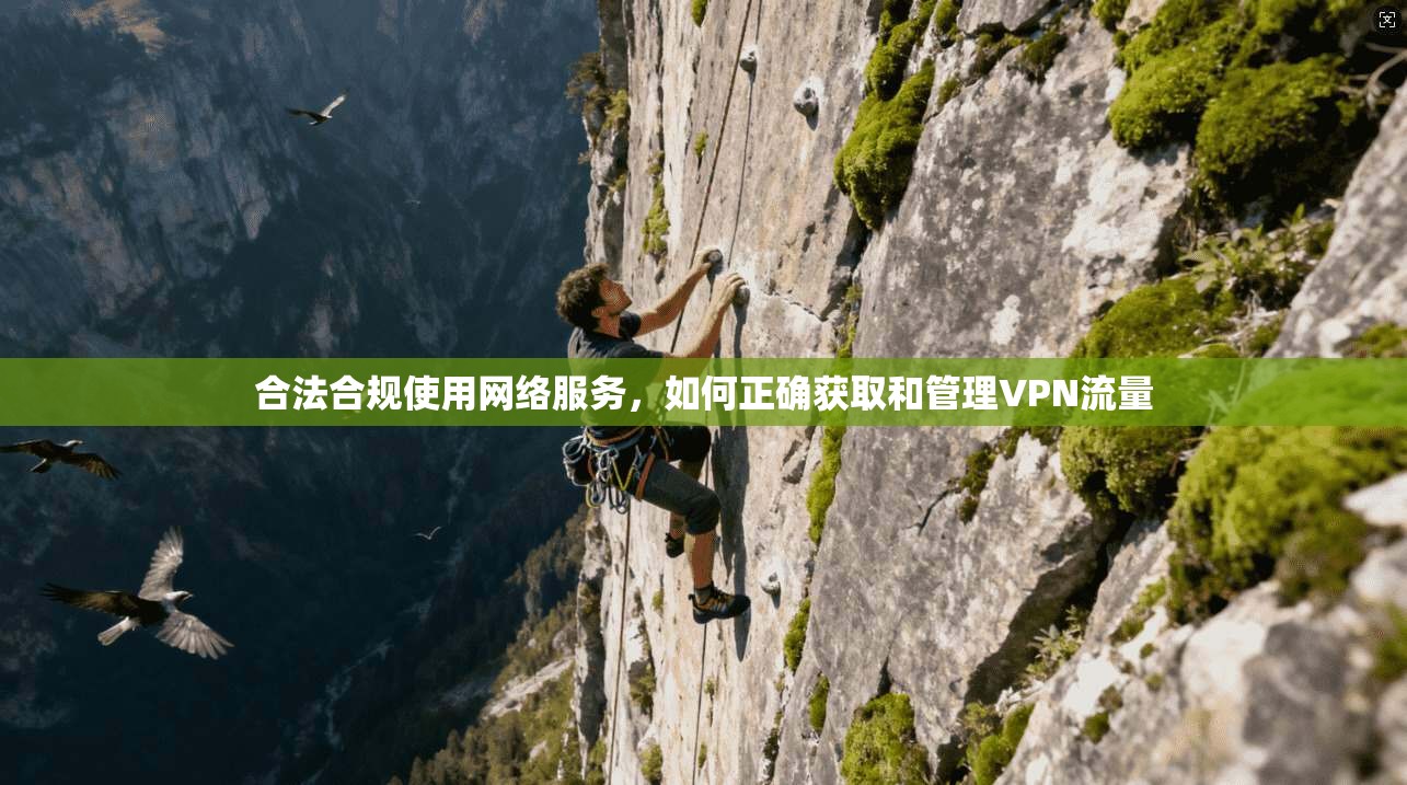 合法合规使用网络服务，如何正确获取和管理VPN流量