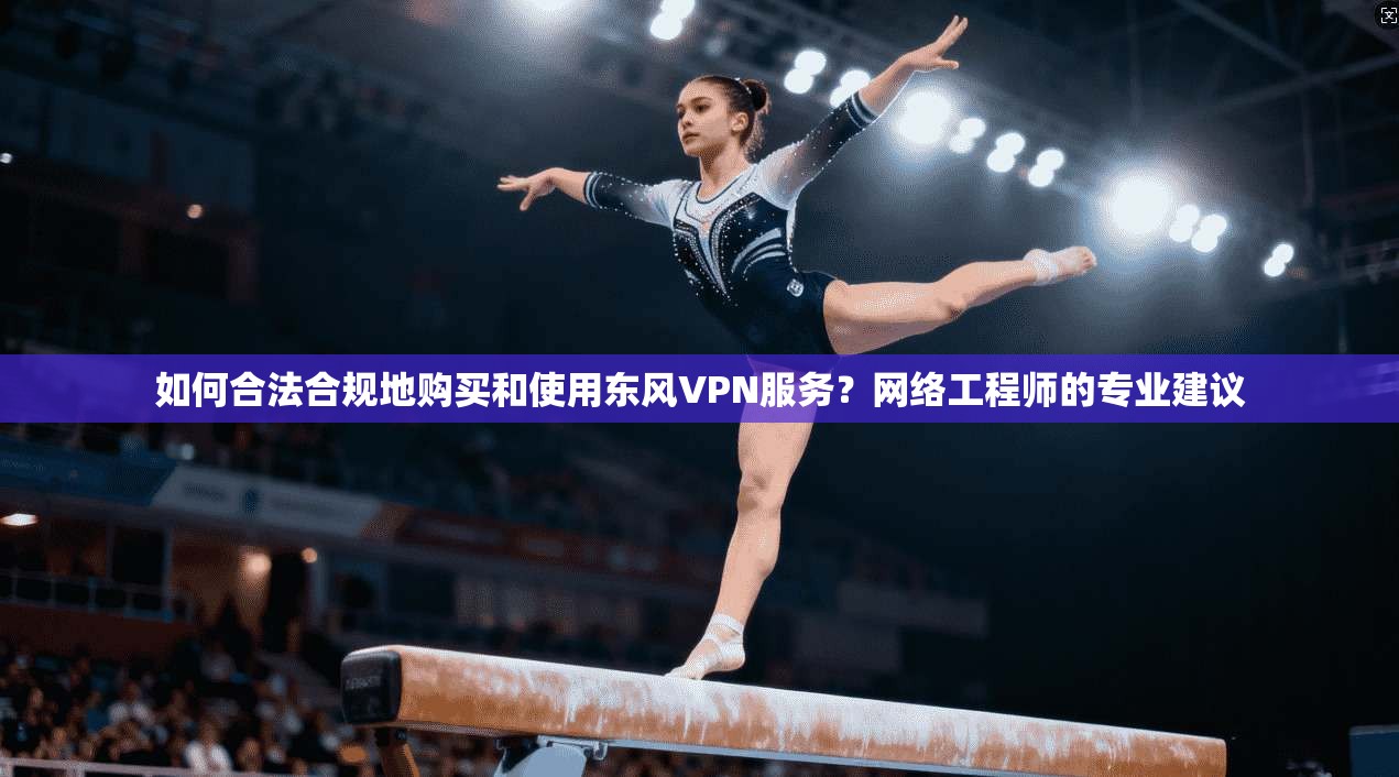 如何合法合规地购买和使用东风VPN服务？网络工程师的专业建议