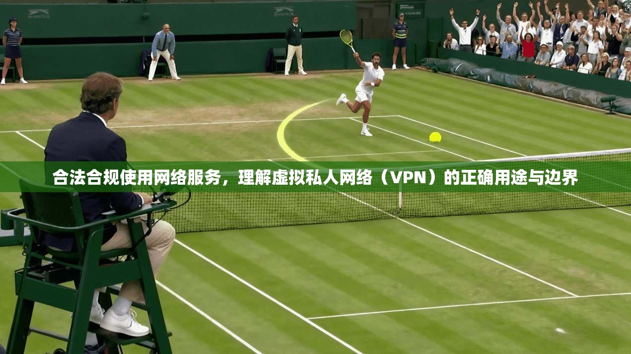 合法合规使用网络服务，理解虚拟私人网络（VPN）的正确用途与边界