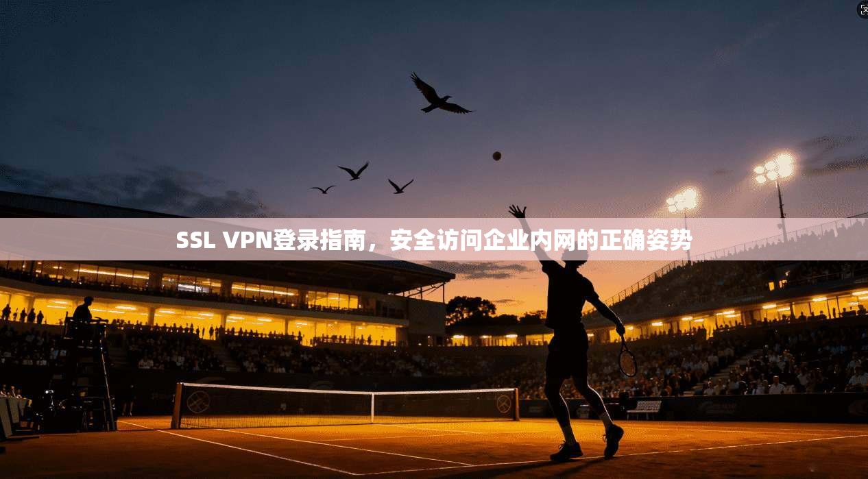 SSL VPN登录指南，安全访问企业内网的正确姿势