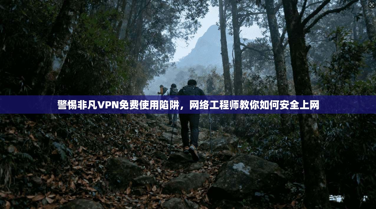 警惕非凡VPN免费使用陷阱，网络工程师教你如何安全上网