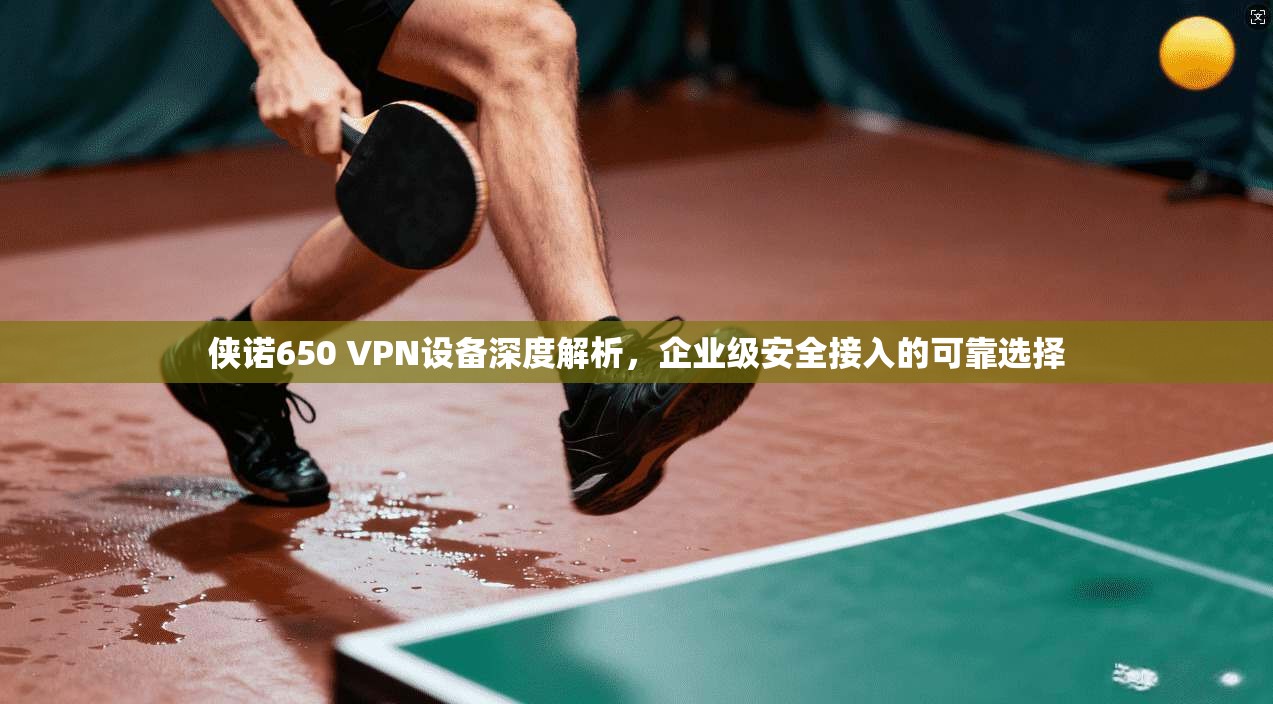 侠诺650 VPN设备深度解析，企业级安全接入的可靠选择