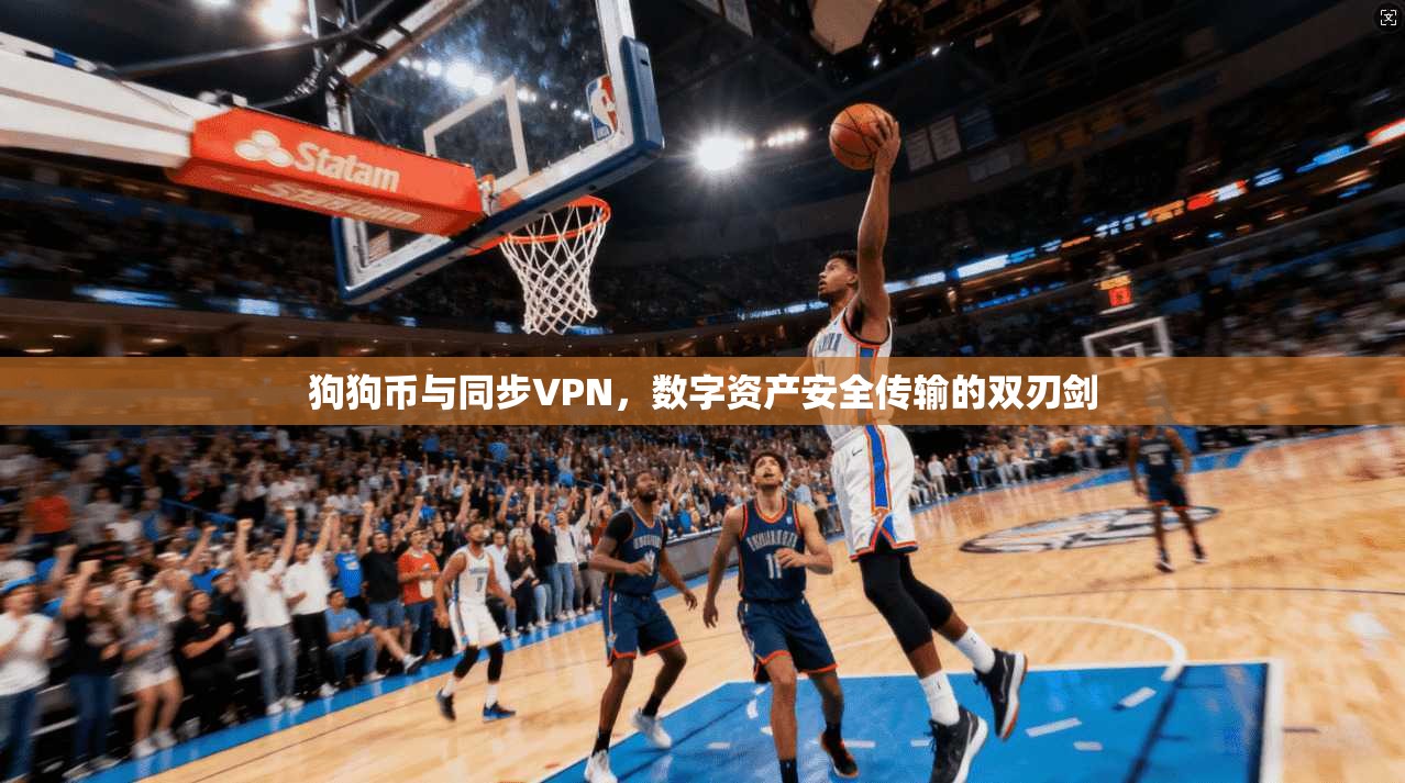 狗狗币与同步VPN，数字资产安全传输的双刃剑