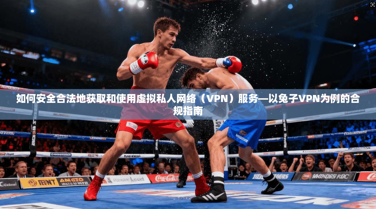 如何安全合法地获取和使用虚拟私人网络（VPN）服务—以兔子VPN为例的合规指南