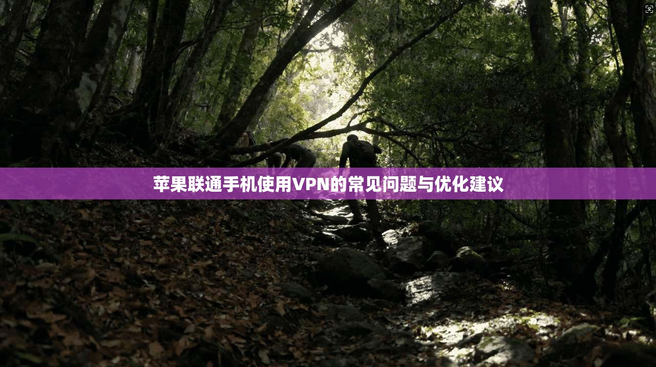苹果联通手机使用VPN的常见问题与优化建议
