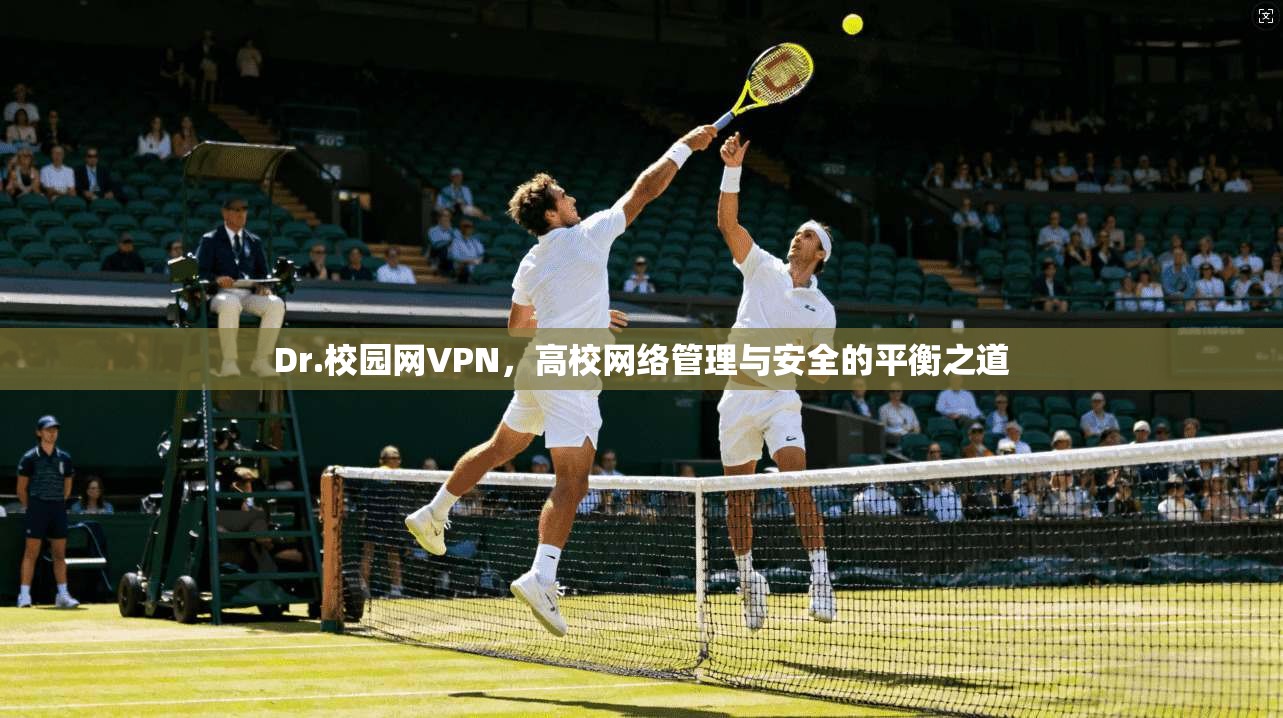 Dr.校园网VPN，高校网络管理与安全的平衡之道