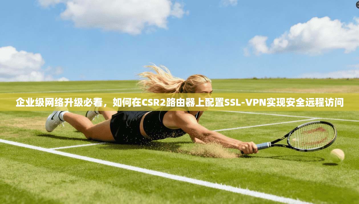 企业级网络升级必看，如何在CSR2路由器上配置SSL-VPN实现安全远程访问