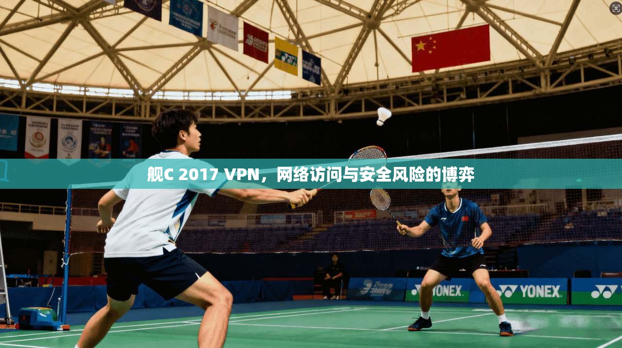 舰C 2017 VPN，网络访问与安全风险的博弈