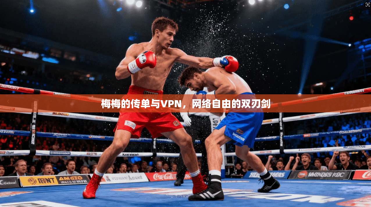 梅梅的传单与VPN，网络自由的双刃剑