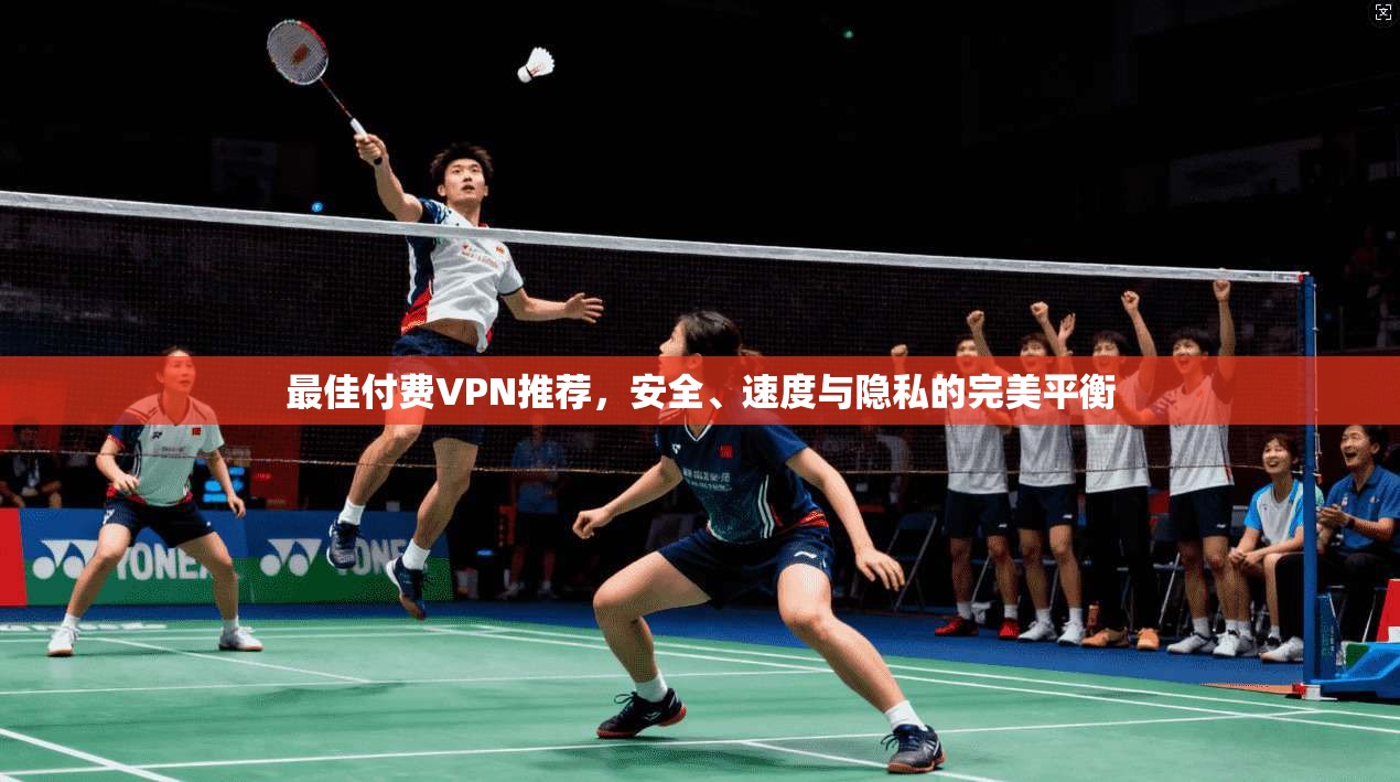 最佳付费VPN推荐，安全、速度与隐私的完美平衡