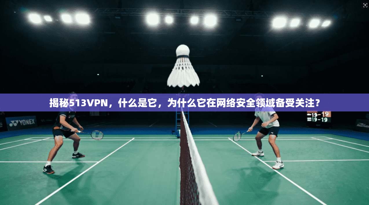 揭秘513VPN，什么是它，为什么它在网络安全领域备受关注？