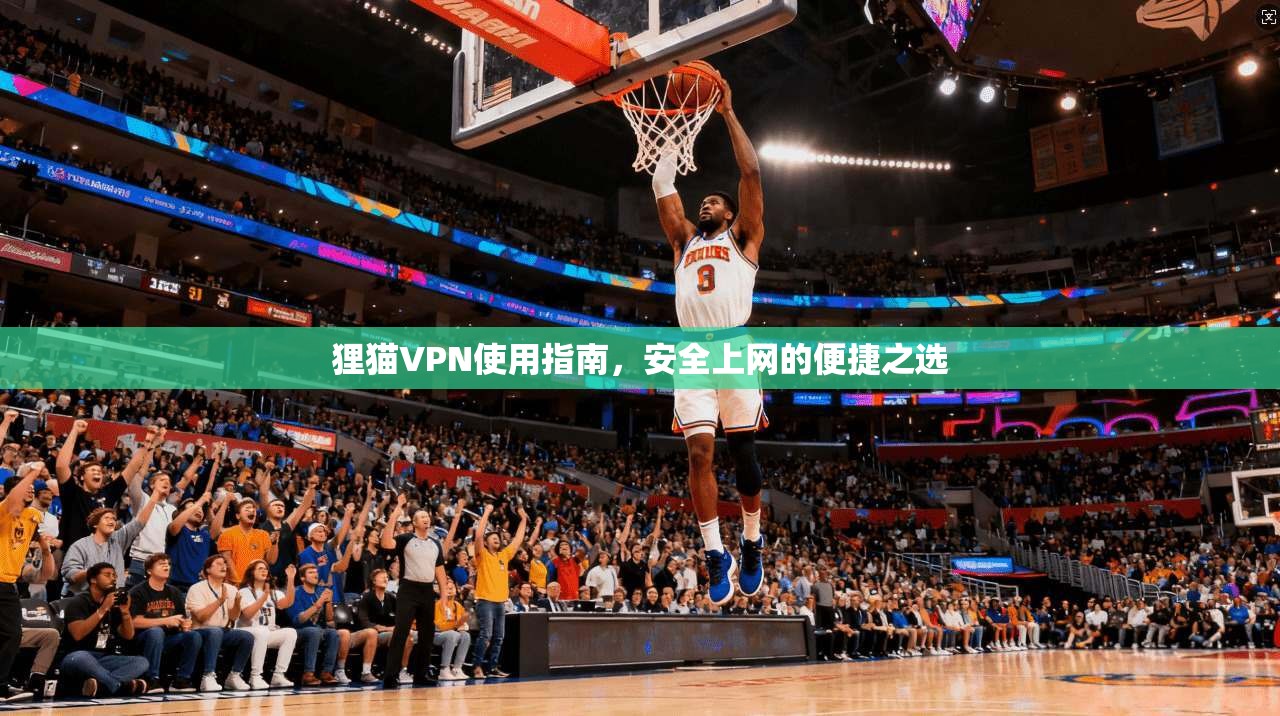 狸猫VPN使用指南，安全上网的便捷之选