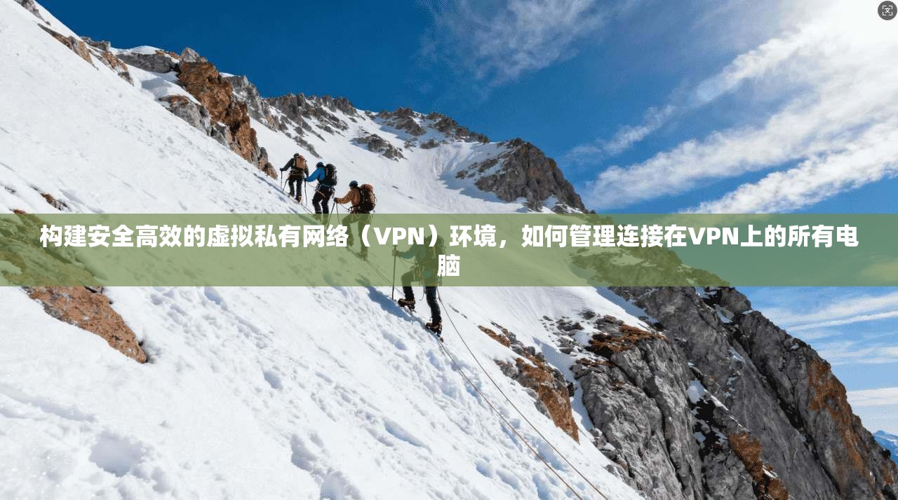构建安全高效的虚拟私有网络（VPN）环境，如何管理连接在VPN上的所有电脑