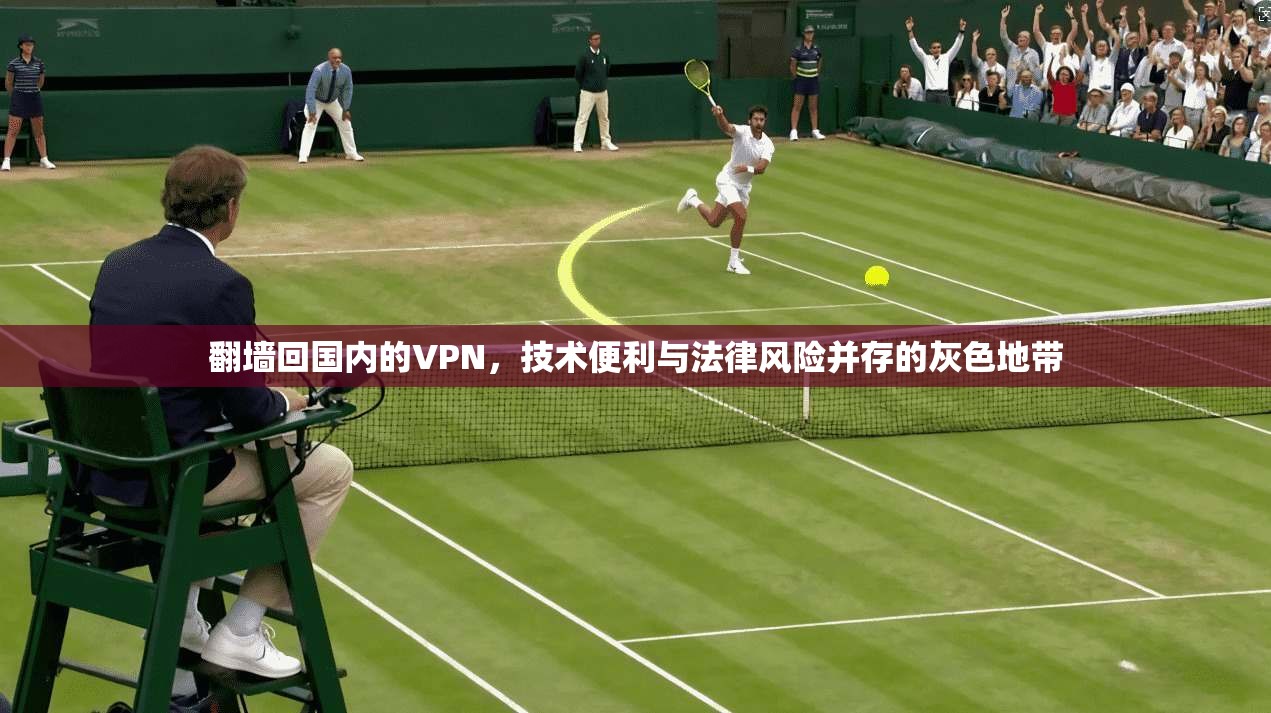 翻墙回国内的VPN，技术便利与法律风险并存的灰色地带