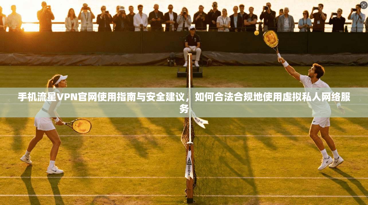 手机流星VPN官网使用指南与安全建议，如何合法合规地使用虚拟私人网络服务
