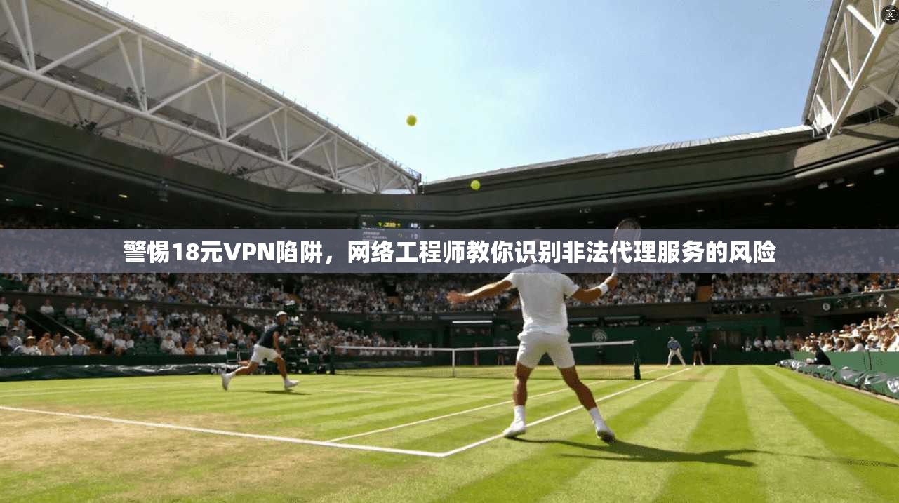 警惕18元VPN陷阱，网络工程师教你识别非法代理服务的风险