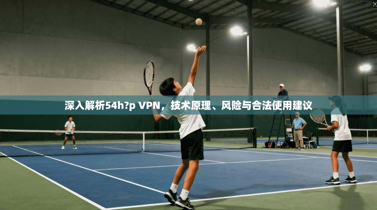 深入解析54h?p VPN，技术原理、风险与合法使用建议