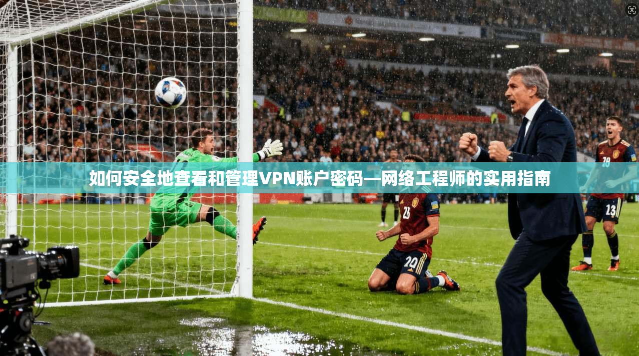 如何安全地查看和管理VPN账户密码—网络工程师的实用指南