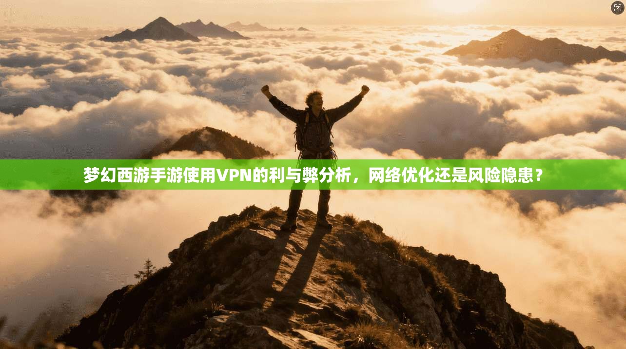 梦幻西游手游使用VPN的利与弊分析，网络优化还是风险隐患？