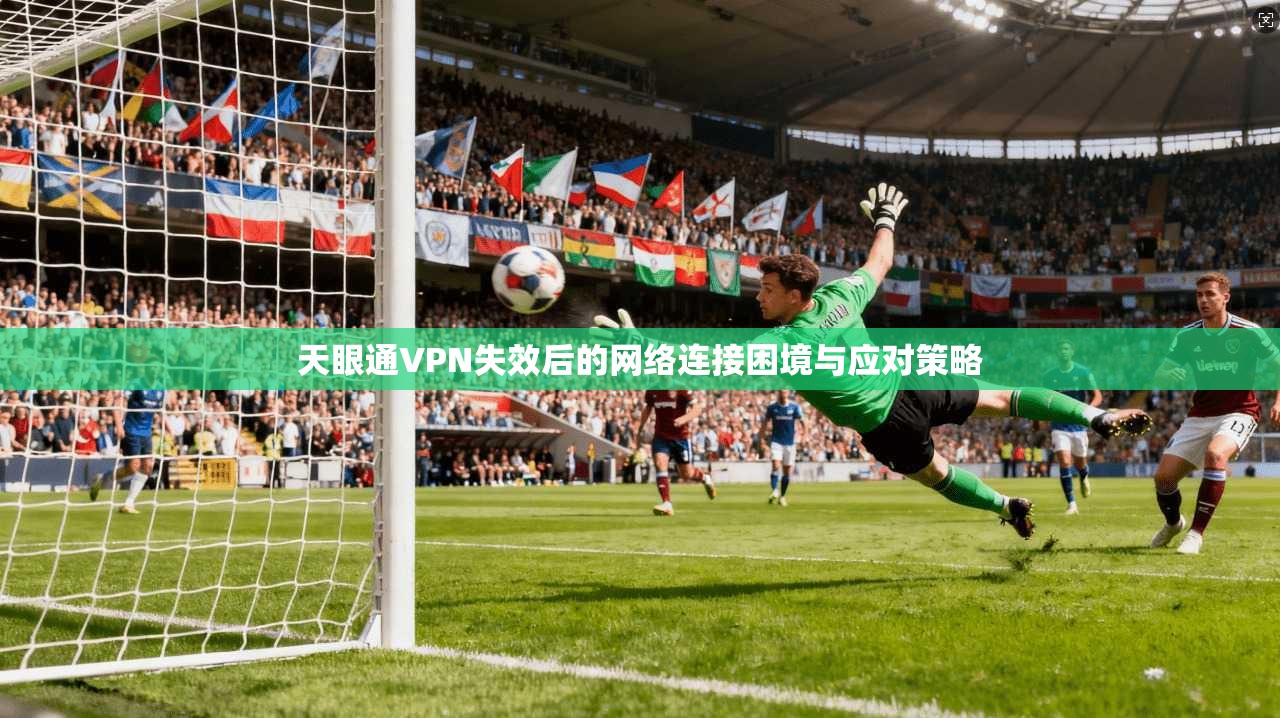 天眼通VPN失效后的网络连接困境与应对策略