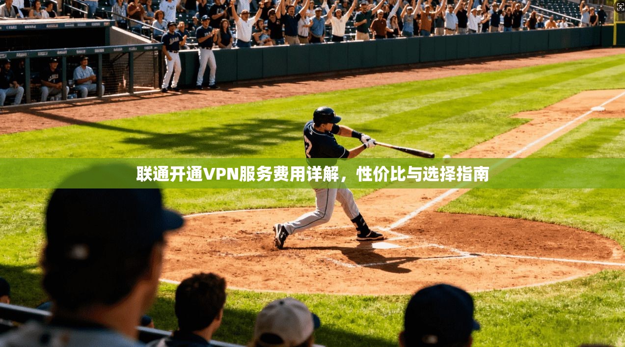 联通开通VPN服务费用详解，性价比与选择指南