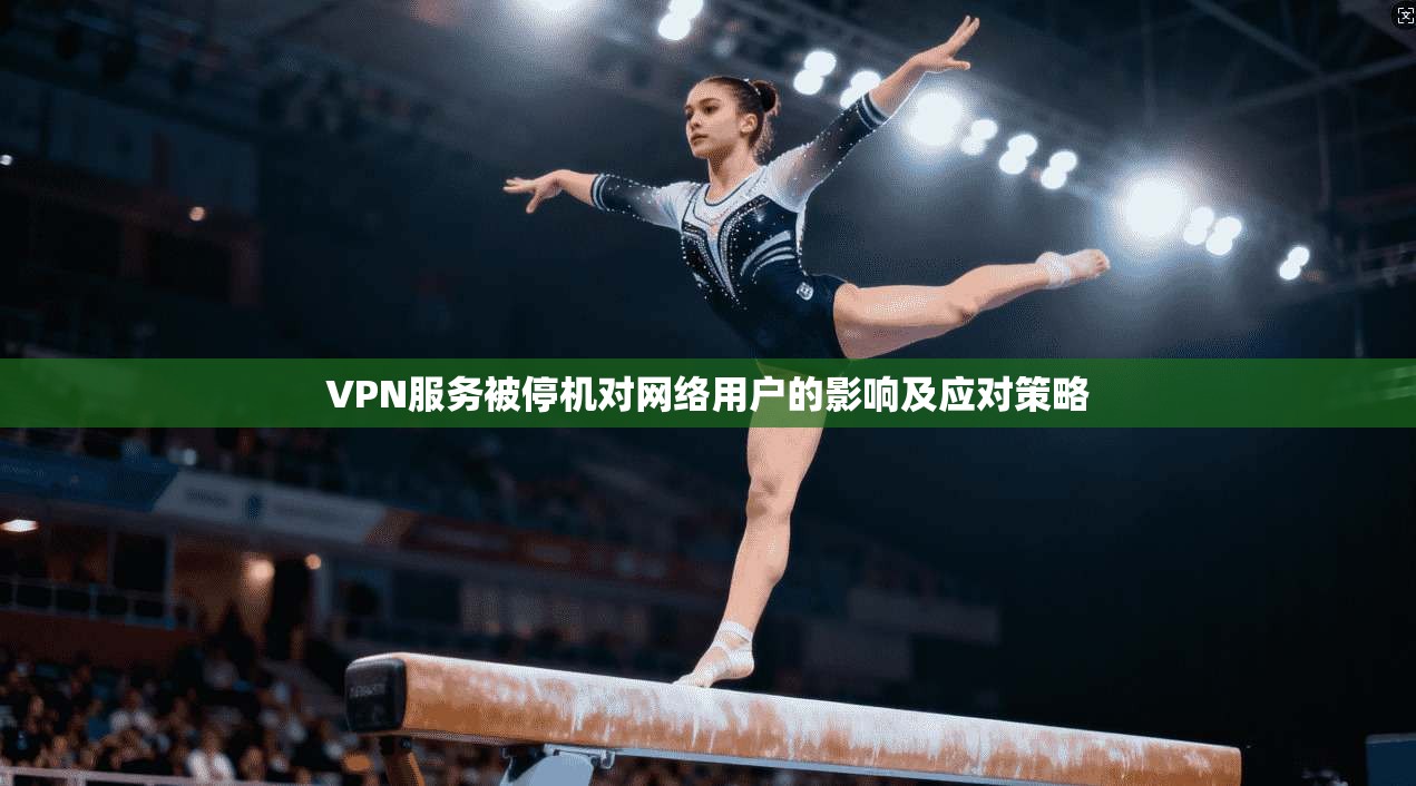 VPN服务被停机对网络用户的影响及应对策略