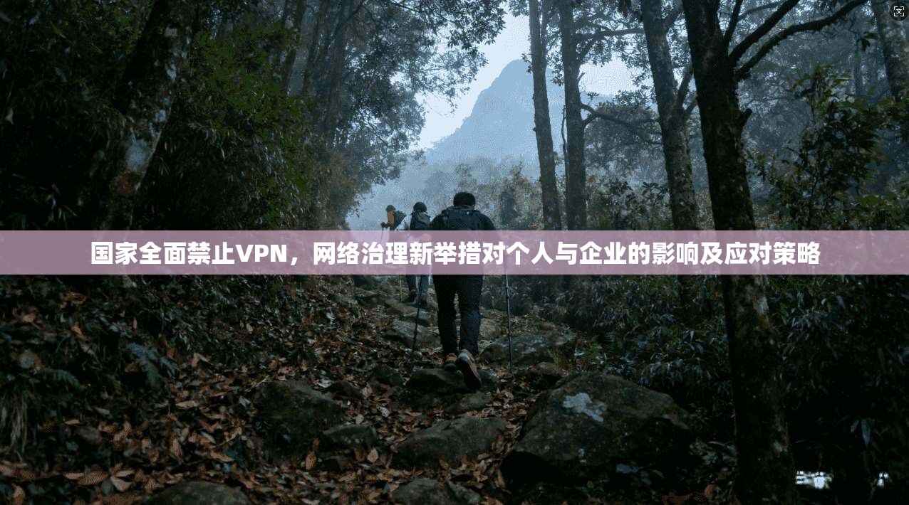 国家全面禁止VPN，网络治理新举措对个人与企业的影响及应对策略