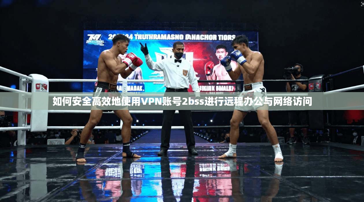 如何安全高效地使用VPN账号2bss进行远程办公与网络访问