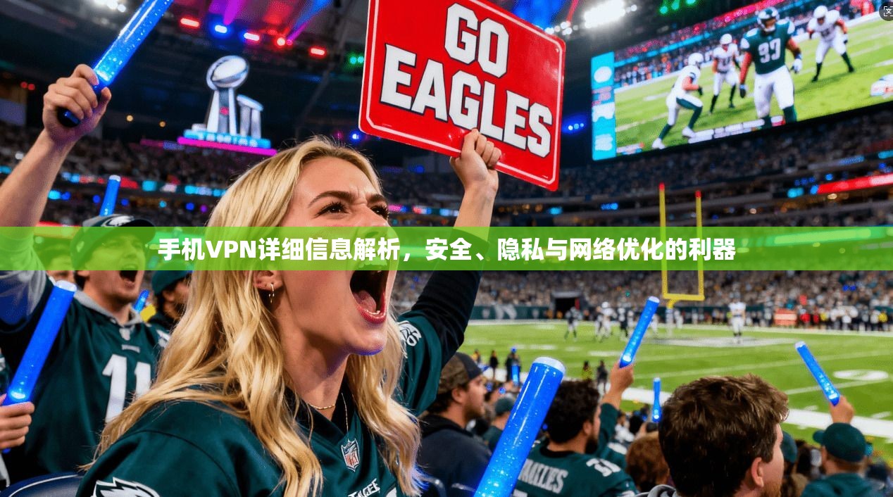 手机VPN详细信息解析，安全、隐私与网络优化的利器
