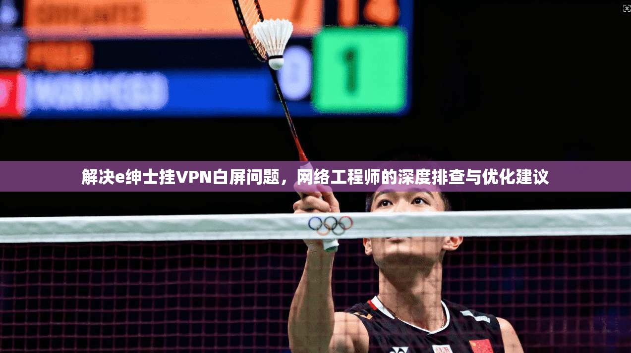 解决e绅士挂VPN白屏问题，网络工程师的深度排查与优化建议
